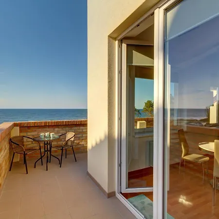 Dalba Krynica Morska