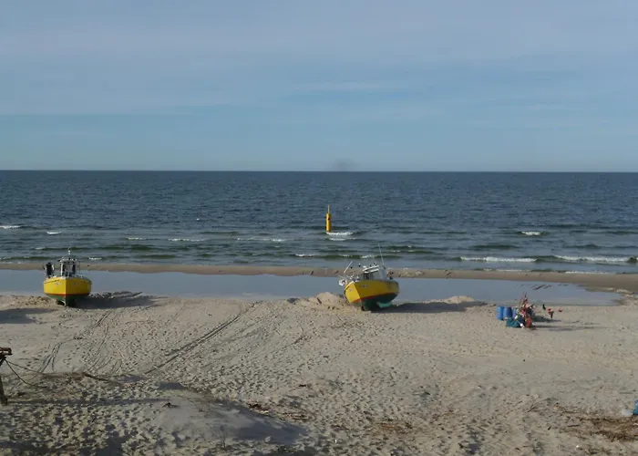 Dalba Krynica Morska