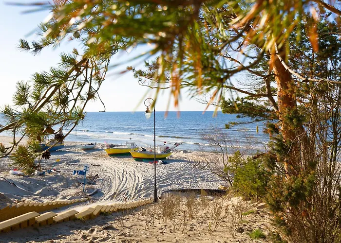 Dalba * Krynica Morska